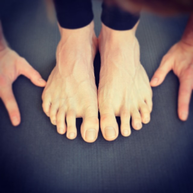 Yoga hands and feet, forward fold, padangusthasana