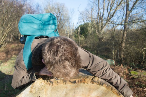 YOGALEN clambers on an oak tree